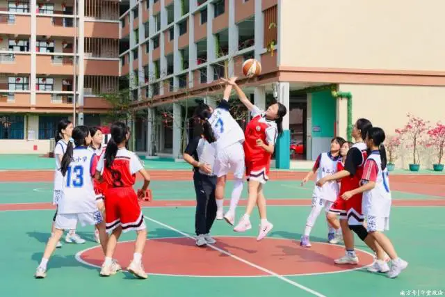 篮球训练的感悟心得体会怎么写三年级_2